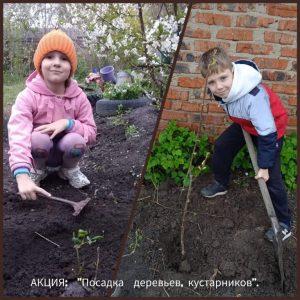 Читать далее о этой статье Экологический флешмоб