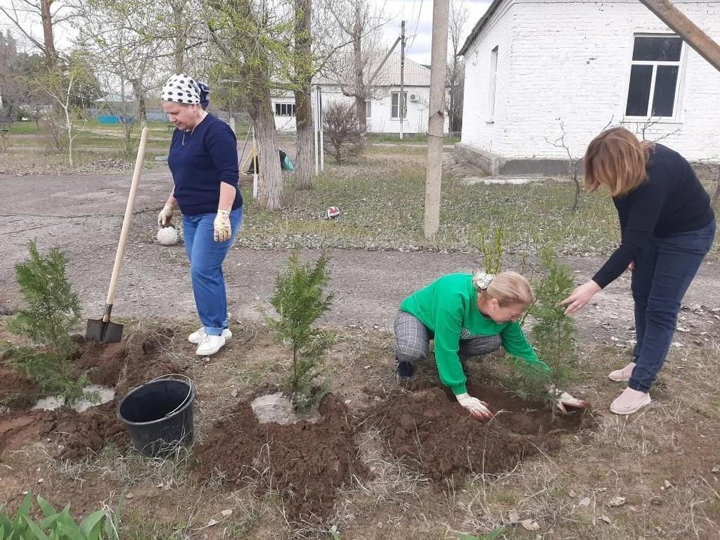 Вы сейчас просматриваете Коллектив принял участие в Дне древонасаждения
